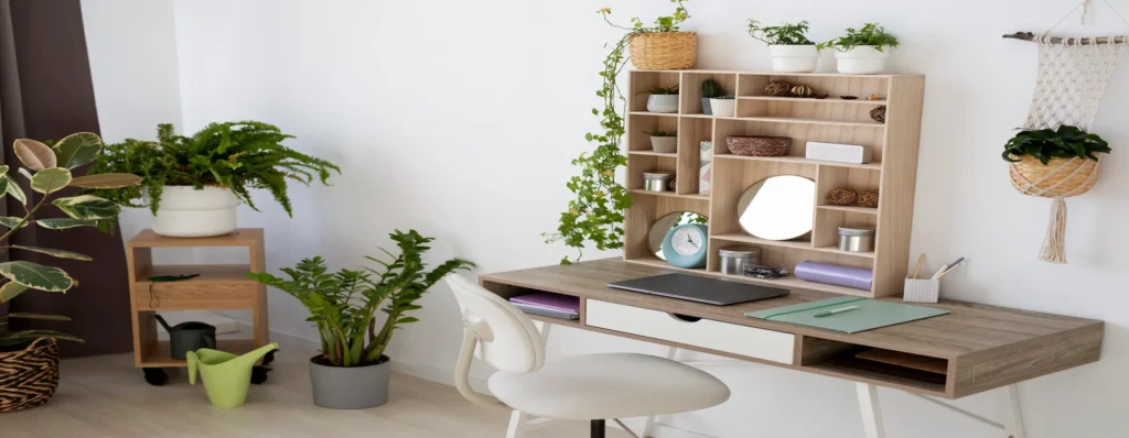 plantes-office