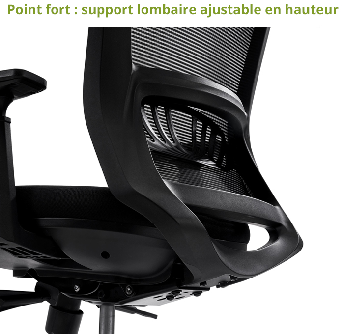 Chaise Ergonomique Elite