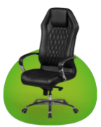 Chaises Haut de Gamme