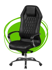 Fauteuils en Cuir Authentique