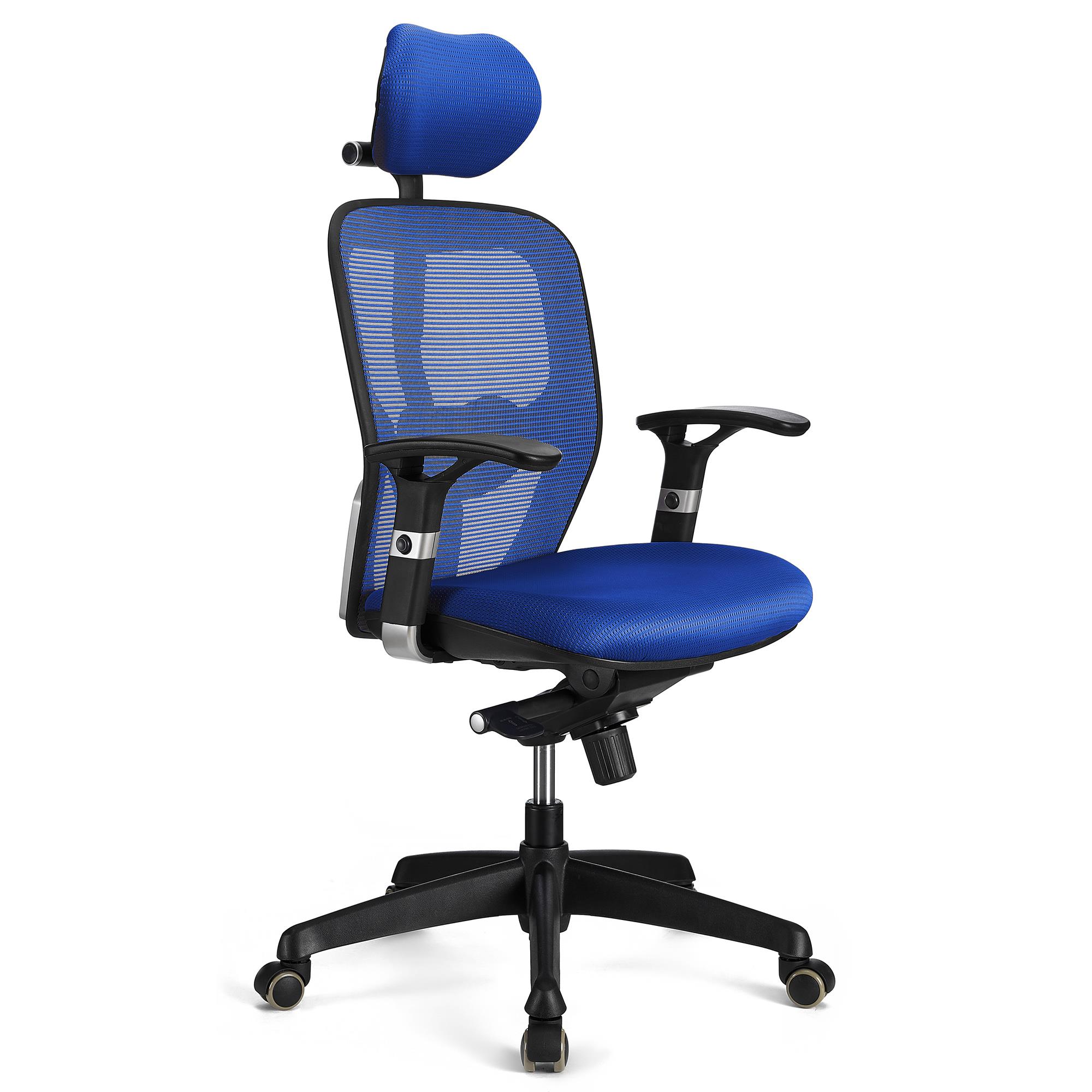 Chaise ergonomique FELIX PRO, Support Lombaire Ajustable, Adapté utilisation 8h, Bleu