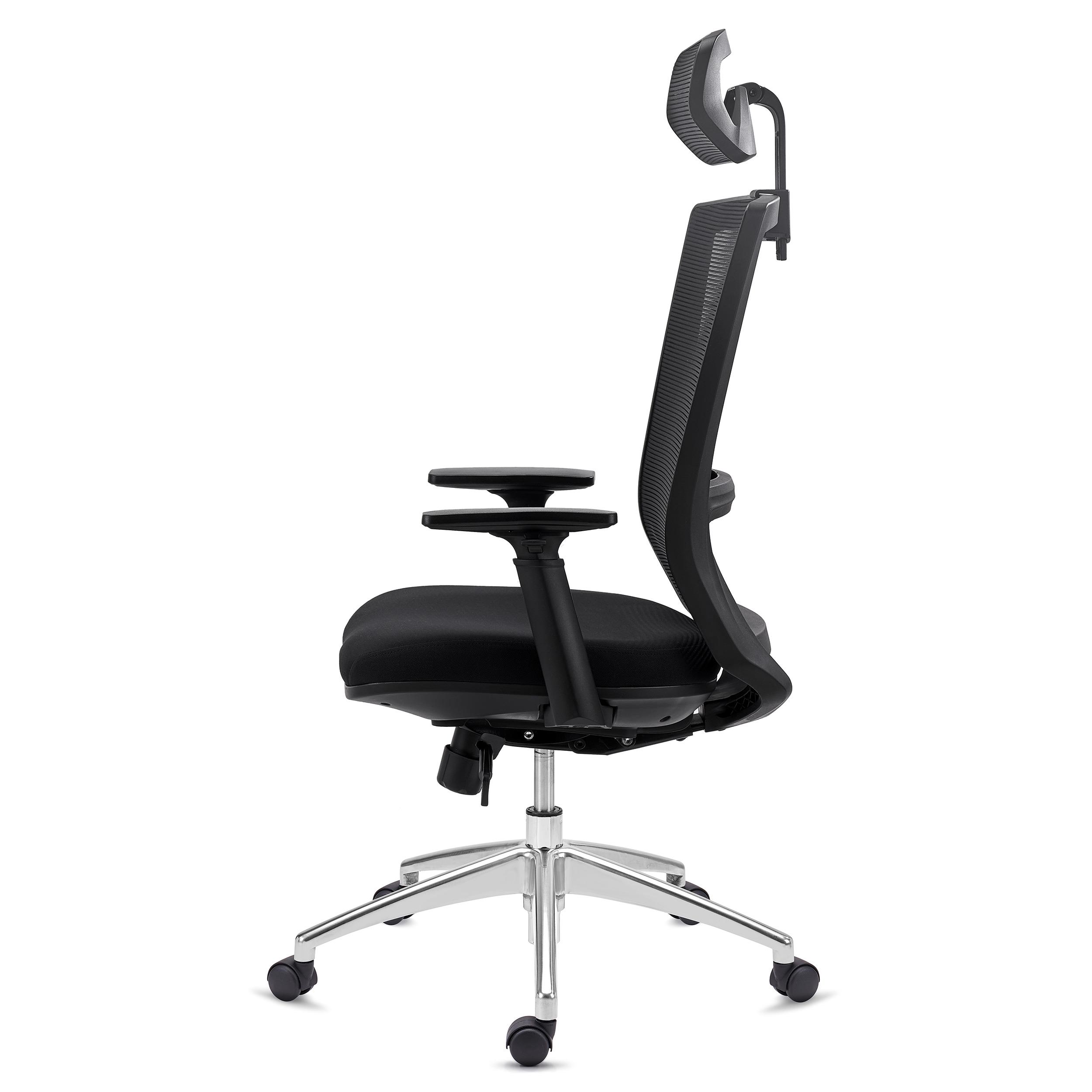 Chaise Ergonomique Elite