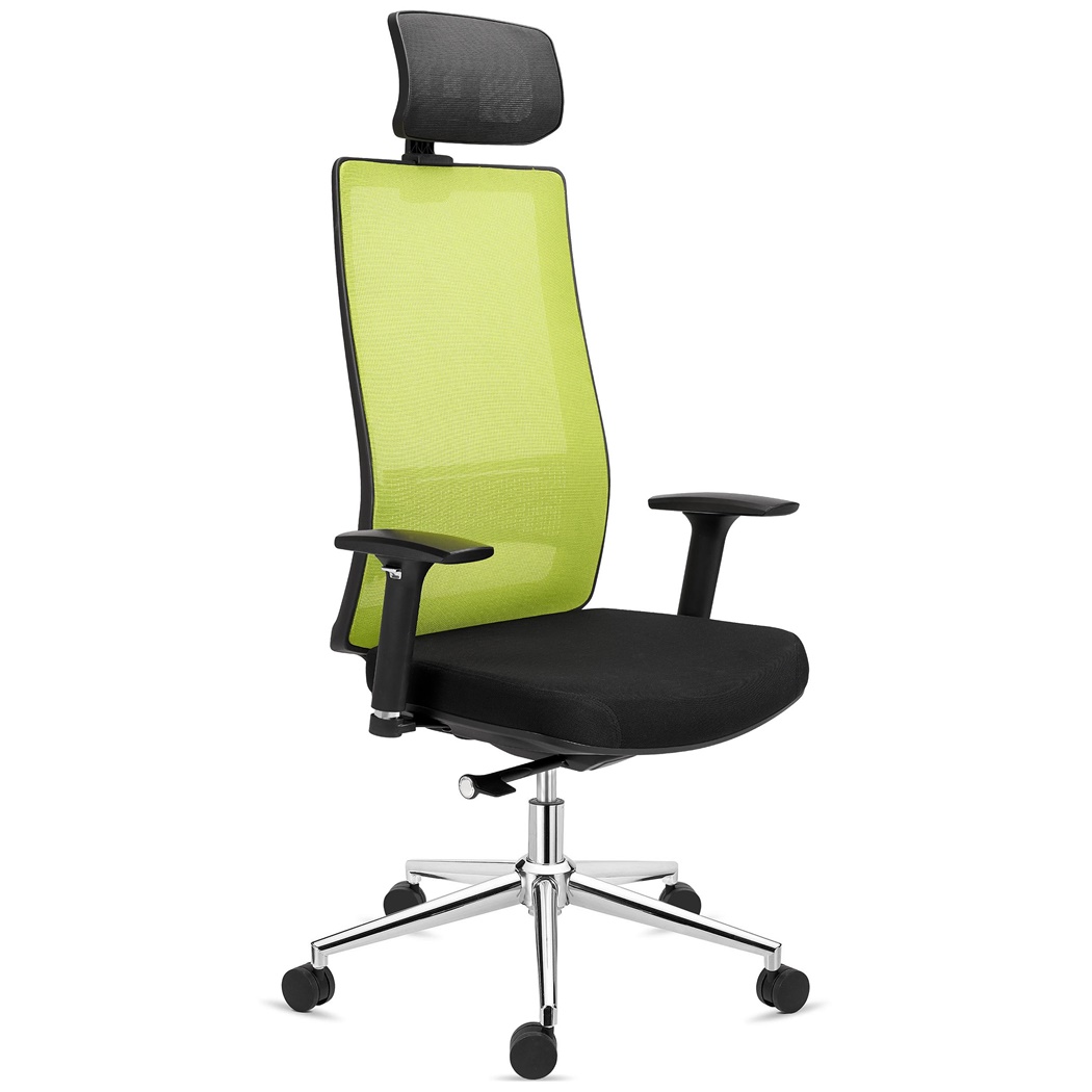 Chaise Ergonomique SANTOS, Appui-tête, Utilisation Professionnelle 8h, en Vert