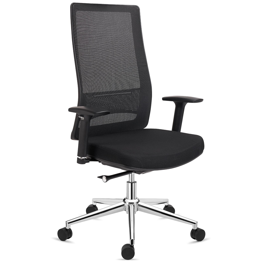 Chaise Ergonomique SANTOS, Utilisation Professionnelle 8h, Design Élégant, en Noir