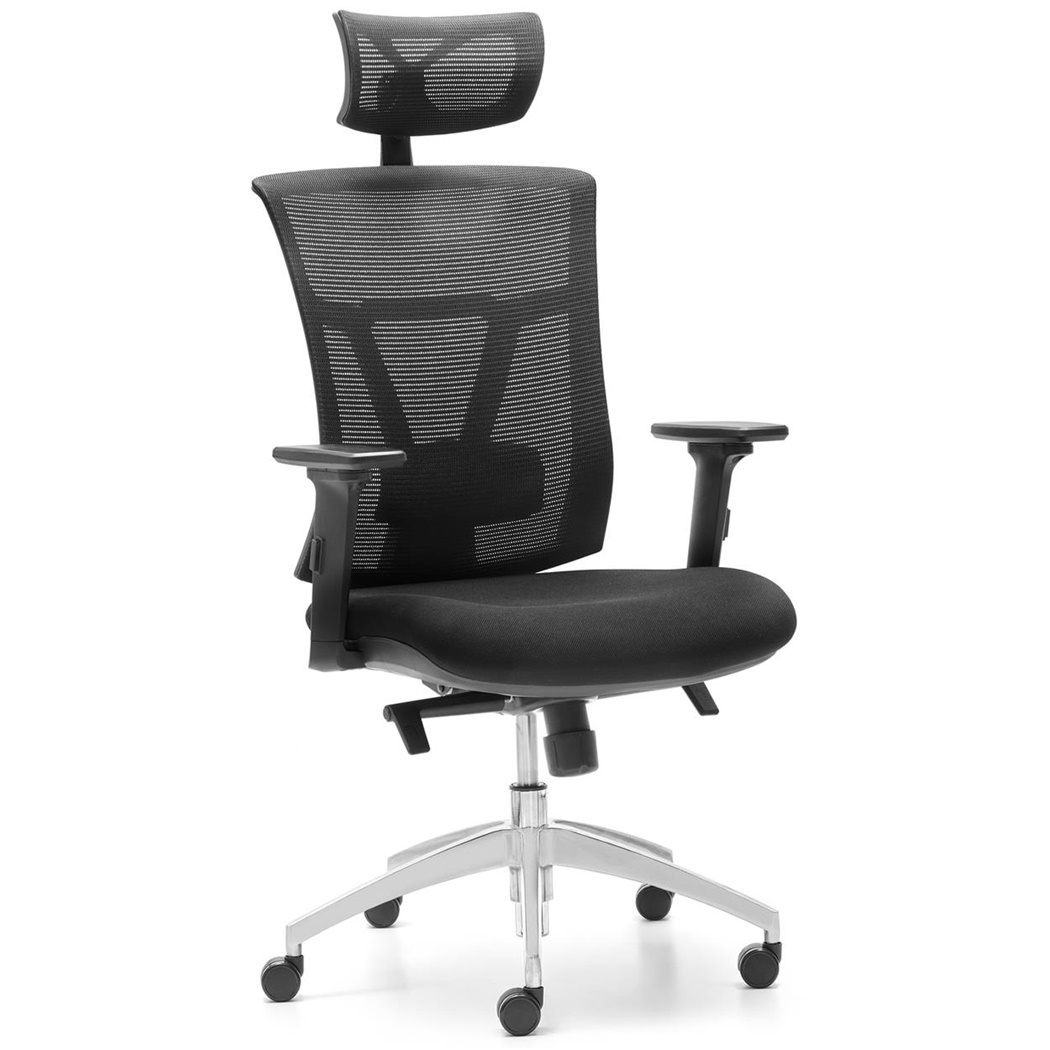 DEMO# Chaise Ergonomique BRENDA, Très Ajustable, Support Lombaire, Maille Respirable et Piètement en Acier Chromé, Noir 