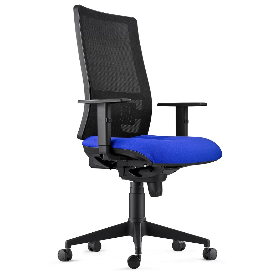 DEMO# Chaise Ergonomique EMERSON, Support Lombaire, Accoudoirs et Dossier Ajustables, en Tissu, Bleu