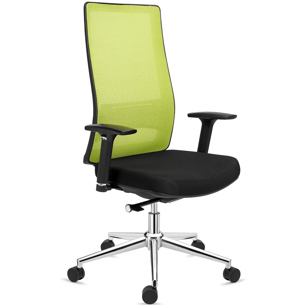 DEMO# Chaise Ergonomique SANTOS, Utilisation Professionnelle 8h, Design Élégant, en Vert