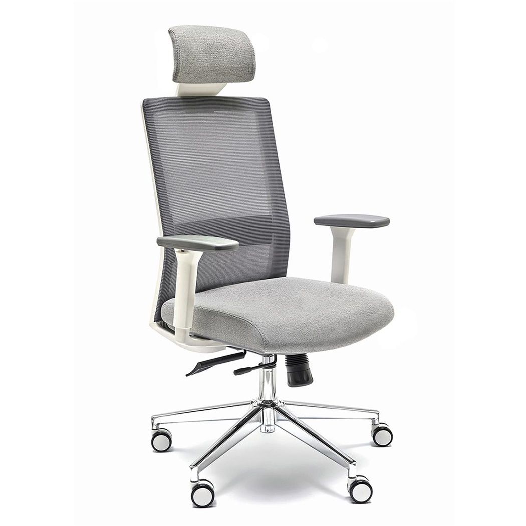 Chaise de Bureau ALBI, Appui-tête, Ergonomique, Support Lombaire Réglable, Maille et Tissu, Gris