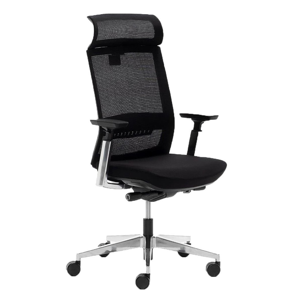 DEMO# Chaise Ergonomique CALGARY, Totalement Ajustable, Utilisation 8h/jour, Structure Métallique, en Noir