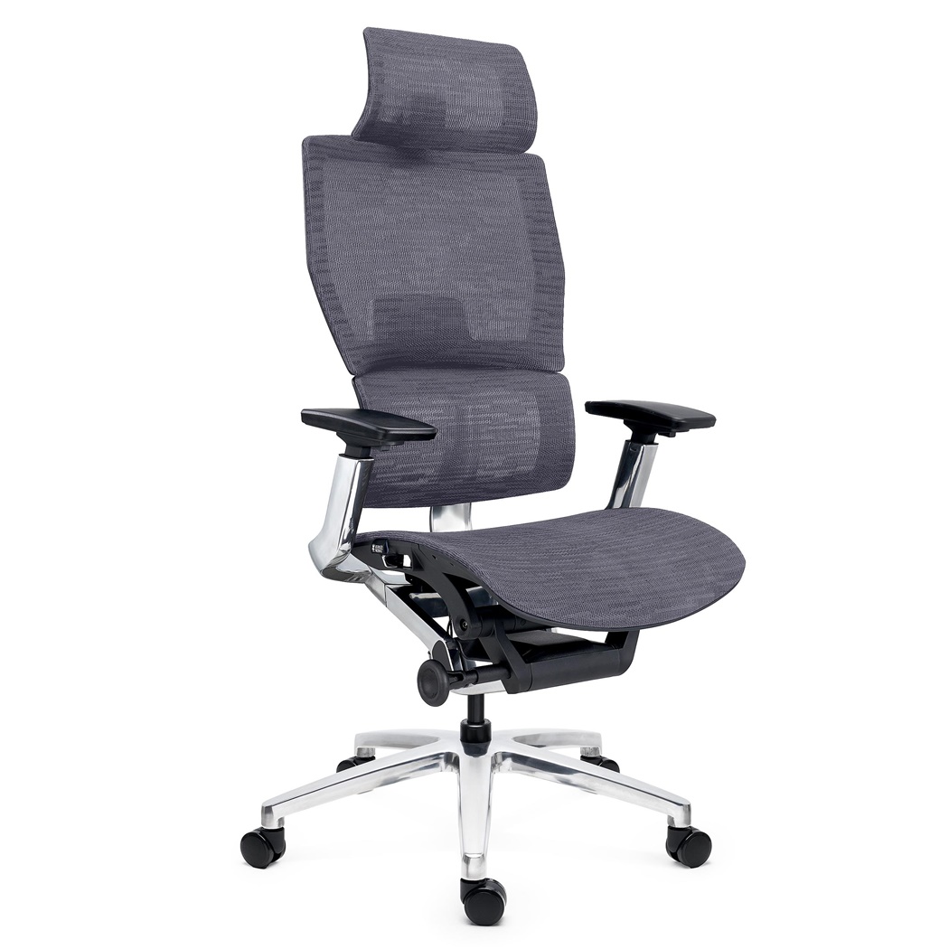 Chaise Ergonomique ERGOPLUS, Appui-tête, 100% Ajustable, Utilisation Intensive 8h, en Maille, Gris