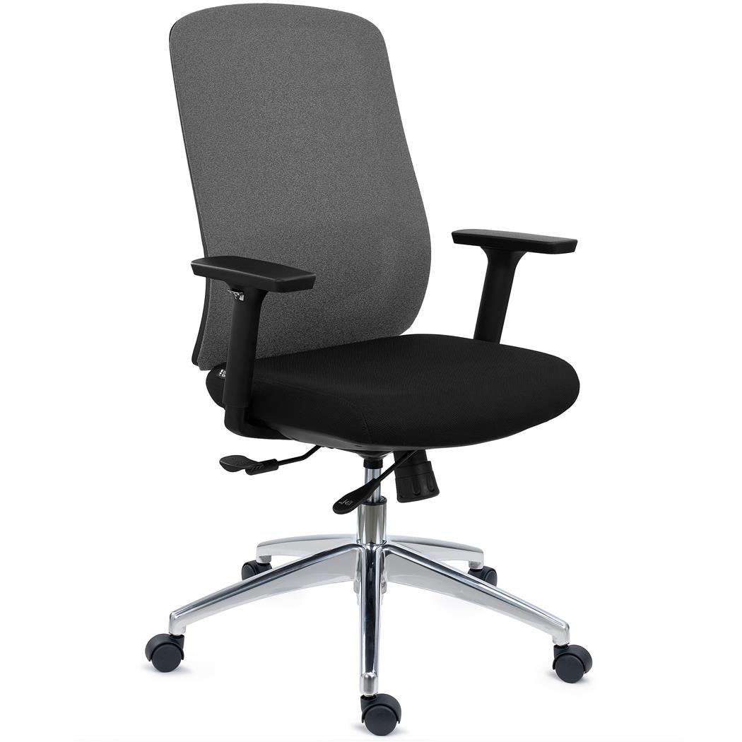 Chaise Ergonomique ASTRA, Assise Ajustable en Profondeur, Utilisation Intensive 8h, Inclinaison Synchrone, Gris