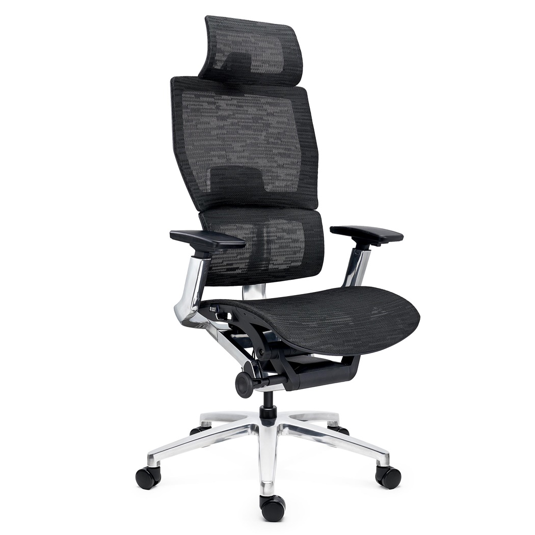 DEMO# Chaise Ergonomique ERGOPLUS, Appui-tête, 100% Ajustable, Utilisation Intensive 8h, en Maille, Noir