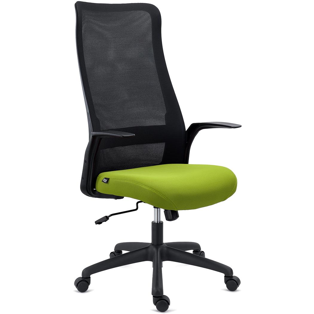 Chaise de Bureau SIERRA, Support Lombaire, Accoudoirs Design, en Tissu et Maille Respirable, Vert