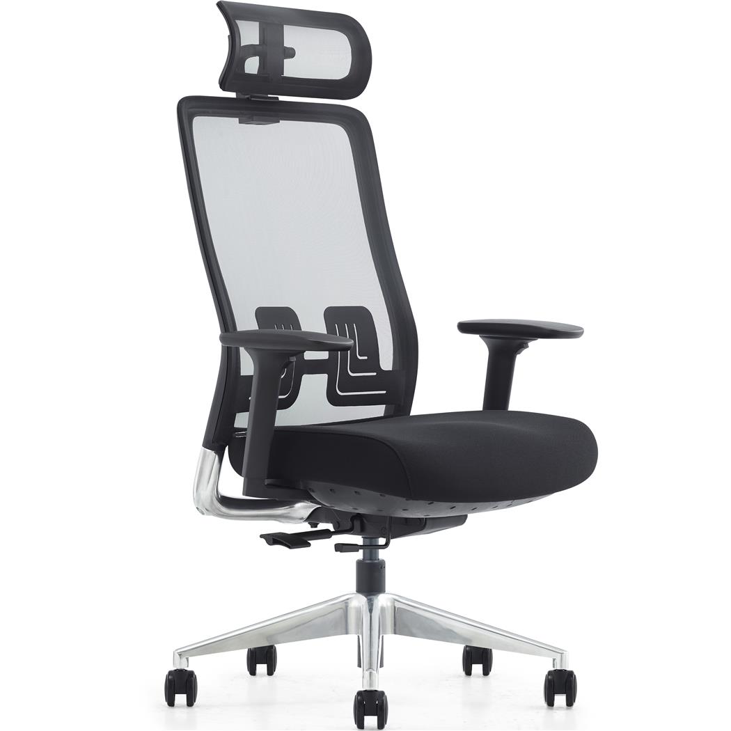 Chaise Ergonomique EVORA, Appui-tête, Assise Réglable en Profondeur, Utilisation Intensive 8h, Noir