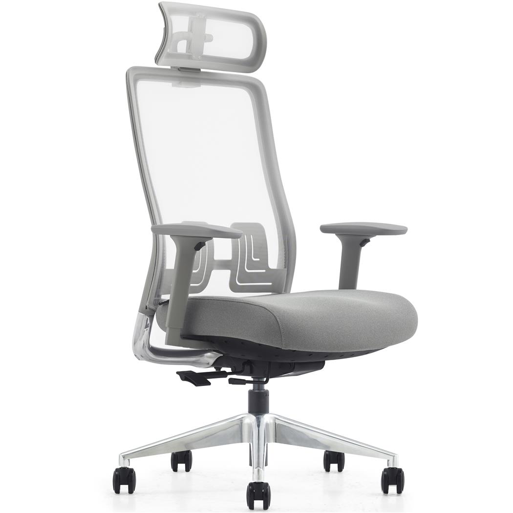 Chaise Ergonomique EVORA GREY, Appui-tête, Assise Réglable en Profondeur, Utilisation Intensive 8h, Gris
