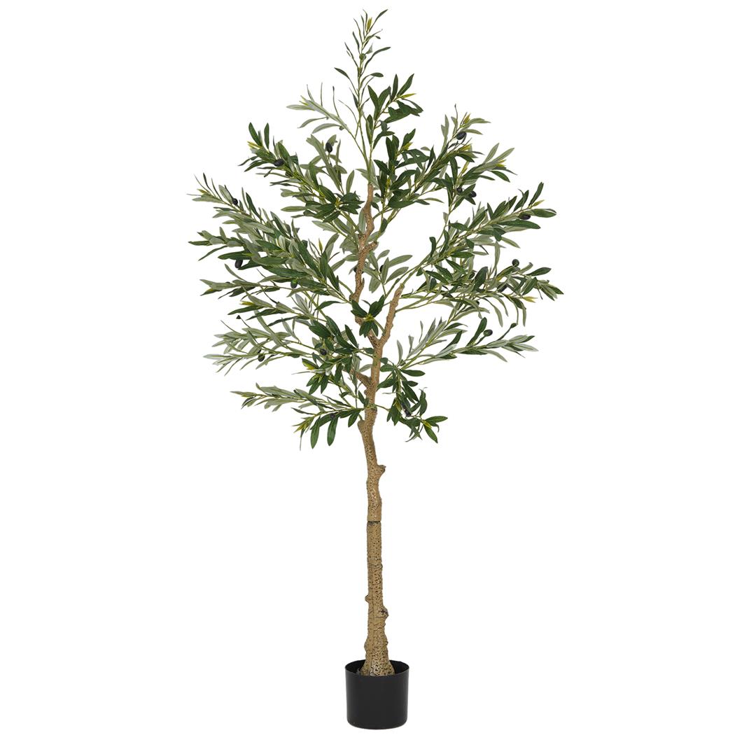 Plante de Bureau FOLI, Hauteur 150cm, Olivier Artificiel, Pot Inclus