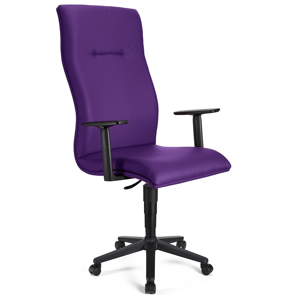 Fauteuil de bureau ANIBAL CUIR, Grand dossier, Accoudoirs Ajustables, Violet