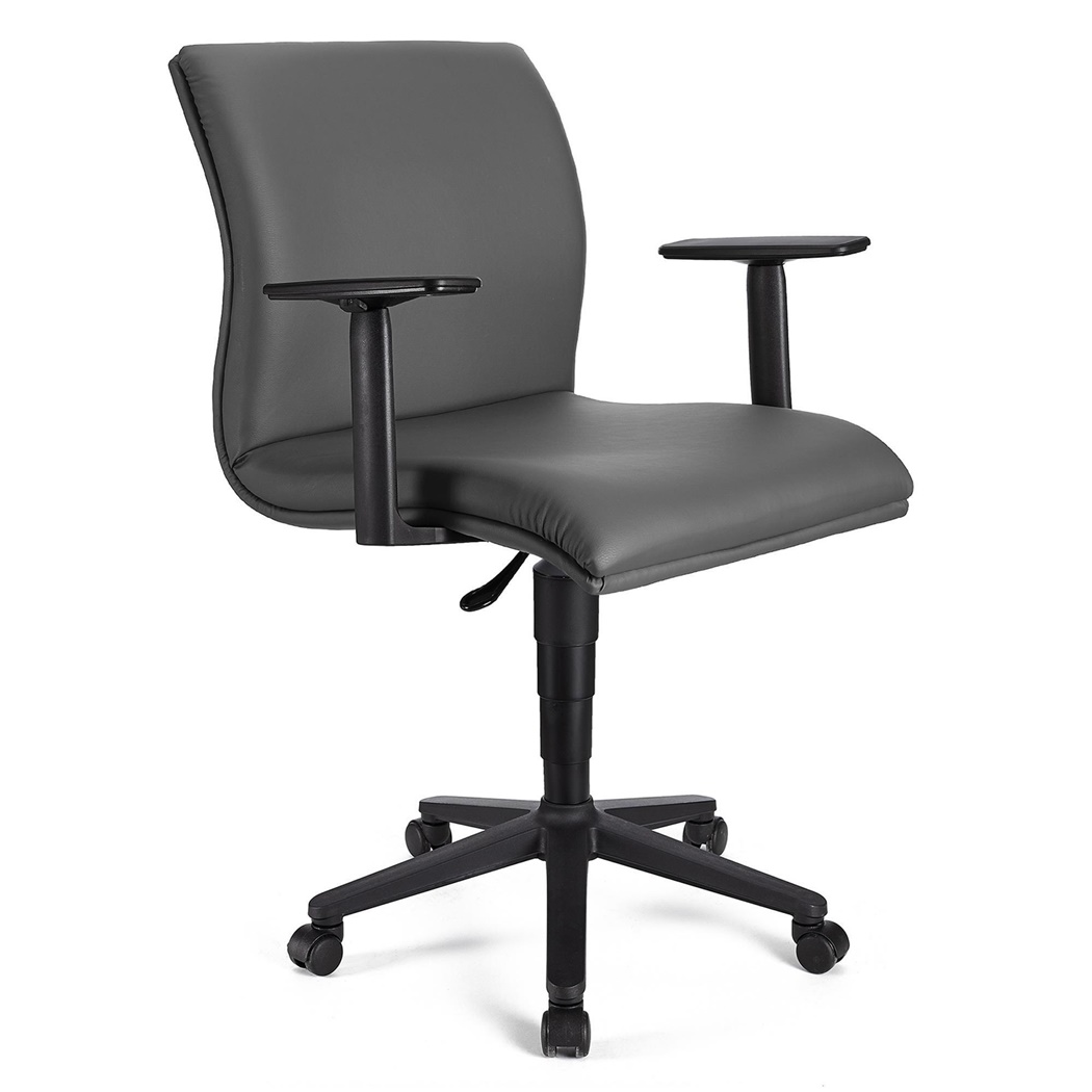 Fauteuil de bureau ANIBAL BASE CUIR, Accoudoirs Ajustables, Gris