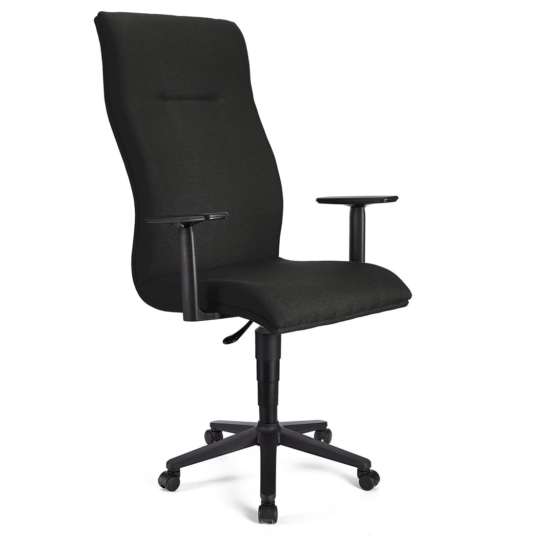 Fauteuil de bureau ANIBAL, Grand dossier, Accoudoirs Ajustables, Tissu, Noir