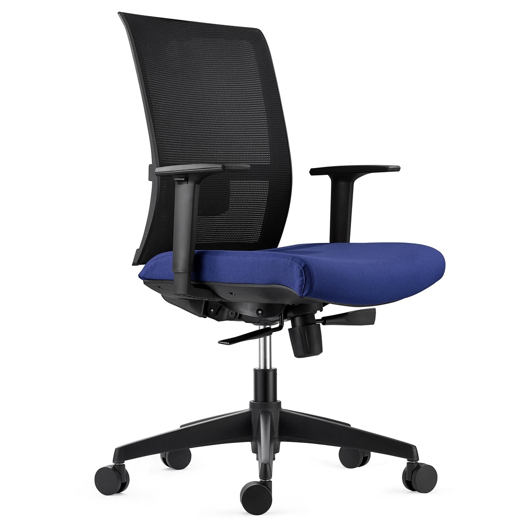 Chaise Ergonomique EXON, Support Lombaire, Utilisation 8 H, en Tissu et Maille, Bleu Foncé