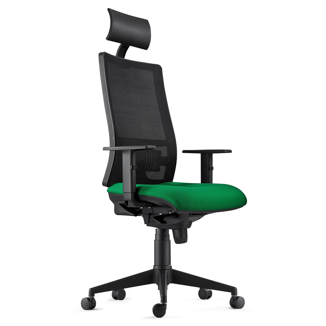 Chaise Ergonomique MARSA, Appui-Tête, Accoudoirs Ajustables et Support Lombaire, Vert