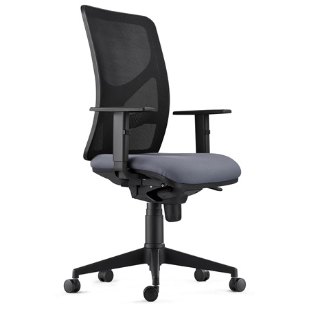 DEMO# Chaise de bureau MILO, Accoudoirs Ajustables, Support Lombaire, en Tissu, Gris