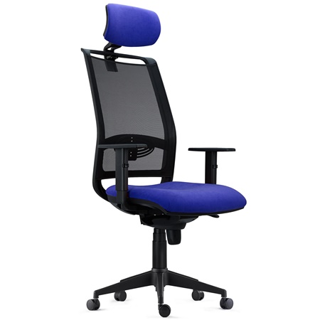 Chaise Ergonomique NEPTUNE, Appui-Tête, Support Lombaire, Utilisation 8 Heures, en Maille Noire et Tissu, Bleu Foncé 