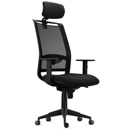 Chaise Ergonomique NEPTUNE, Appui-Tête, Support Lombaire, Utilisation 8 Heures, en Maille Noire et Tissu Noir