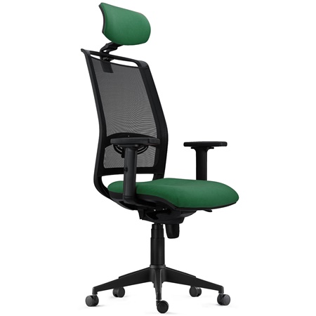 Chaise Ergonomique NEPTUNE, Appui-Tête, Support Lombaire, Utilisation 8 Heures, en Maille Noire et Tissu Vert