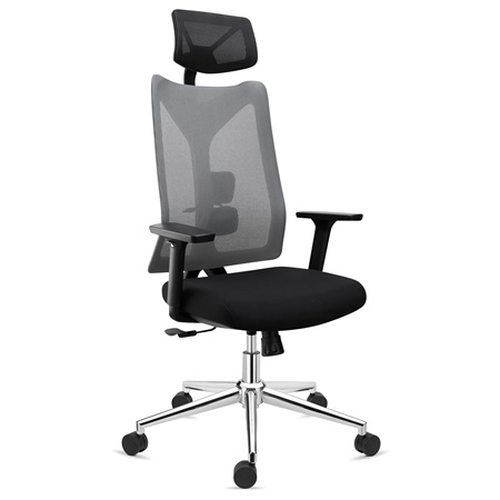 Chaise Ergonomique ADARA, Totalement Réglable, Appui-tête, Support Lombaire, Gris