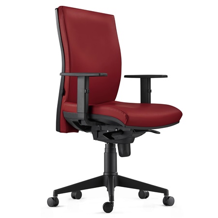 DEMO# Chaise Ergonomique CALVIN, en Cuir Véritable, Support Lombaire, Bordeaux