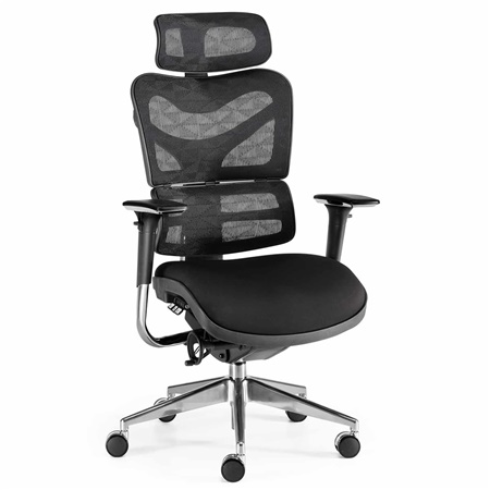 DEMO# Chaise Ergonomique PROWORK, Totalement Ajustable, Grande Qualité, Maille et Tissu Noir