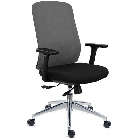 Chaise Ergonomique ASTRA, Assise Ajustable en Profondeur, Utilisation Intensive 8h, Inclinaison Synchrone, Gris