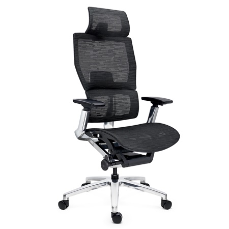 DEMO# Chaise Ergonomique ERGOPLUS, Appui-tête, 100% Ajustable, Utilisation Intensive 8h, en Maille, Noir