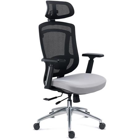 Chaise Ergonomique ASTON, Support Lombaire 3D, Assise Réglable en Profondeur, Utilisation Intensive 8h, Gris