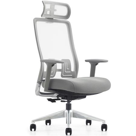 Chaise Ergonomique EVORA GREY, Appui-tête, Assise Réglable en Profondeur, Utilisation Intensive 8h, Gris
