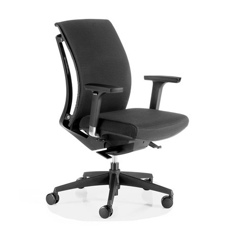 Siège Ergonomique EMILI, Dossier Totalement Ajustable, Design Innovant, Noir