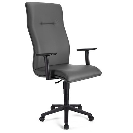 Fauteuil de bureau ANIBAL CUIR, Grand dossier, Accoudoirs Ajustables, Gris