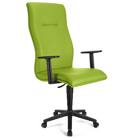 Fauteuil de bureau ANIBAL CUIR, Grand dossier, Accoudoirs Ajustables, Vert