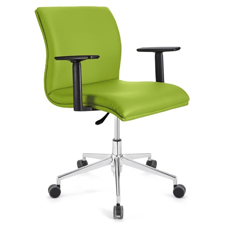 Fauteuil de bureau ANIBAL BASE PRO CUIR, Accoudoirs Ajustables, Vert