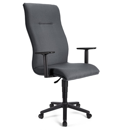 Fauteuil de bureau ANIBAL, Grand dossier, Accoudoirs Ajustables, Tissu, Gris