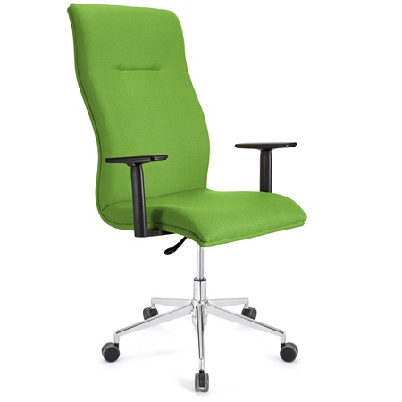 Fauteuil de bureau ANIBAL PRO, Grand dossier, Accoudoirs Ajustables, Tissu, Vert