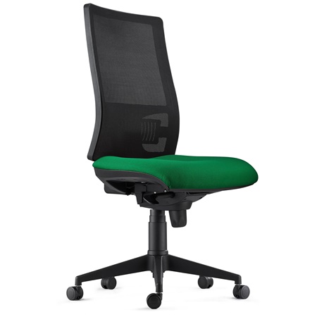 Chaise Ergonomique EMERSON, Support Lombaire, Sans Accoudoirs, Dossier Ajustable, en Tissu, Vert