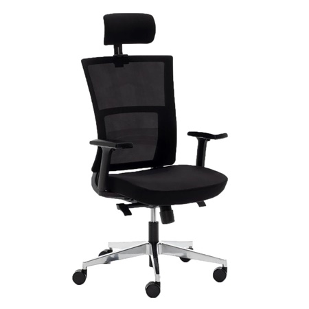 Chaise Ergonomique EDMONTON, Utilisation Professionnelle 8 heures, Qualité et Design Exceptionnels, en Noir